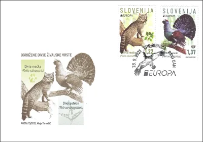 EUROPA - DIVJA MAČKA, DIVJI PETELIN